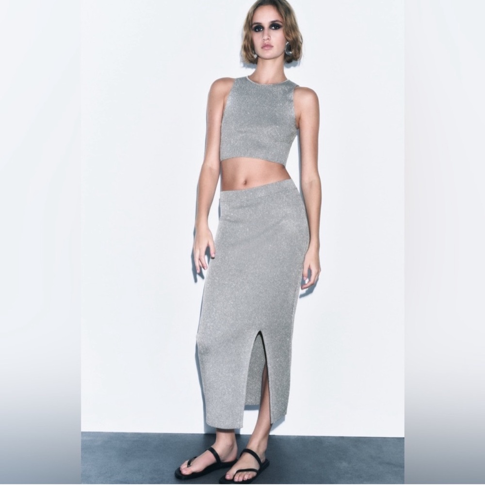 Zara Silver Skirt Set